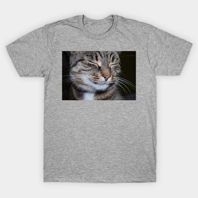 smiling cat T-Shirt by Evaaug